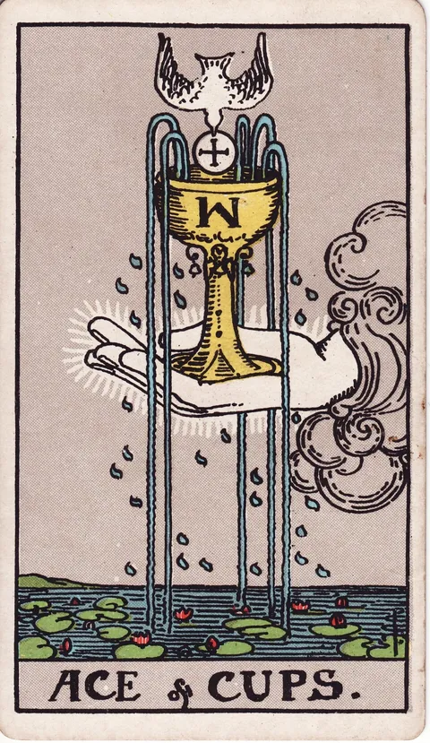 Ace of Cups tarot card